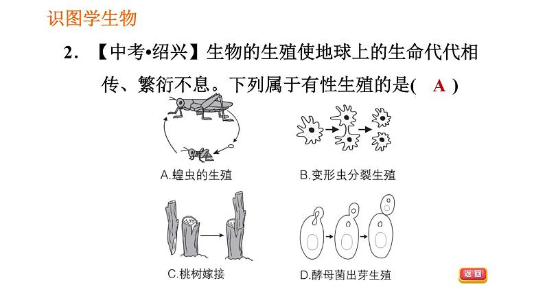 人教版八年级下册生物习题课件 第7单元 识图学生物（一）05