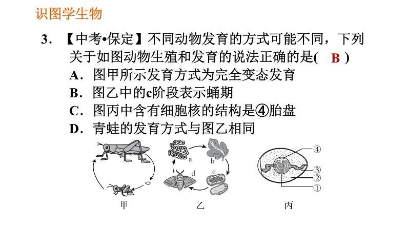 人教版八年级下册生物习题课件 第7单元 识图学生物（一）06