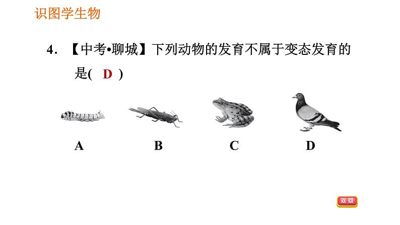 人教版八年级下册生物习题课件 第7单元 识图学生物（一）08