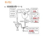 人教版八年级下册生物习题课件 第7单元 7.3.1 地球上生命的起源
