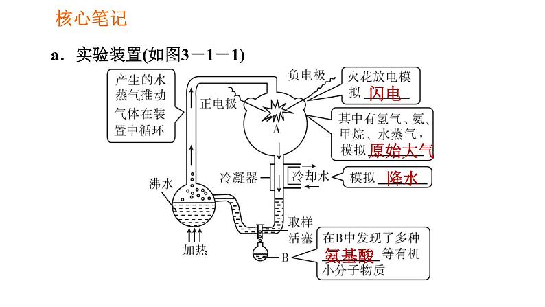 人教版八年级下册生物习题课件 第7单元 7.3.1 地球上生命的起源05