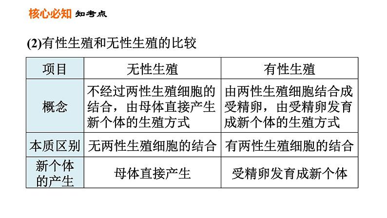 人教版八年级下册生物习题课件 第7单元 第一章巩固强化复习04