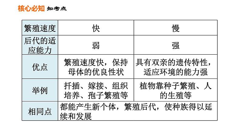 人教版八年级下册生物习题课件 第7单元 第一章巩固强化复习05