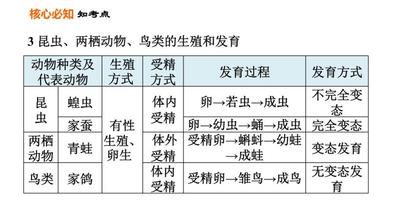 人教版八年级下册生物习题课件 第7单元 第一章巩固强化复习08