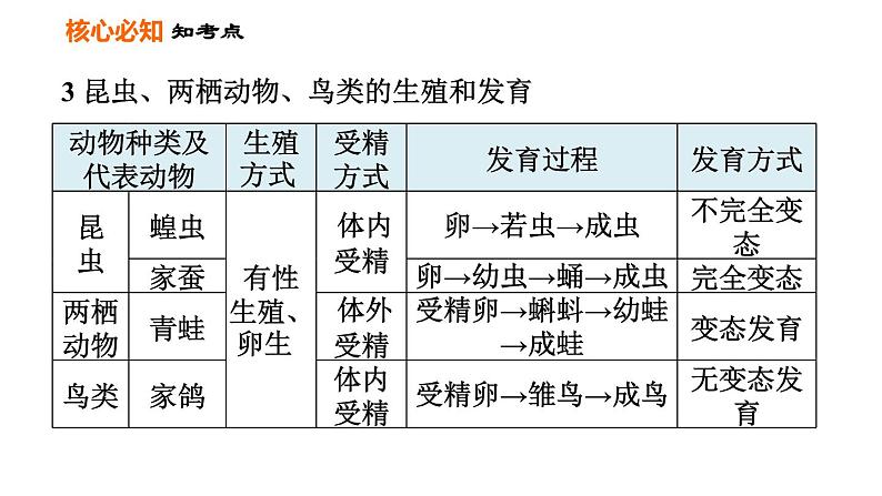 人教版八年级下册生物习题课件 第7单元 第一章巩固强化复习08