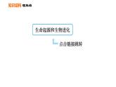人教版八年级下册生物习题课件 第7单元 第三章巩固强化复习