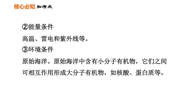 人教版八年级下册生物习题课件 第7单元 第三章巩固强化复习04