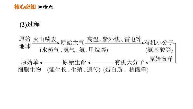 人教版八年级下册生物习题课件 第7单元 第三章巩固强化复习05