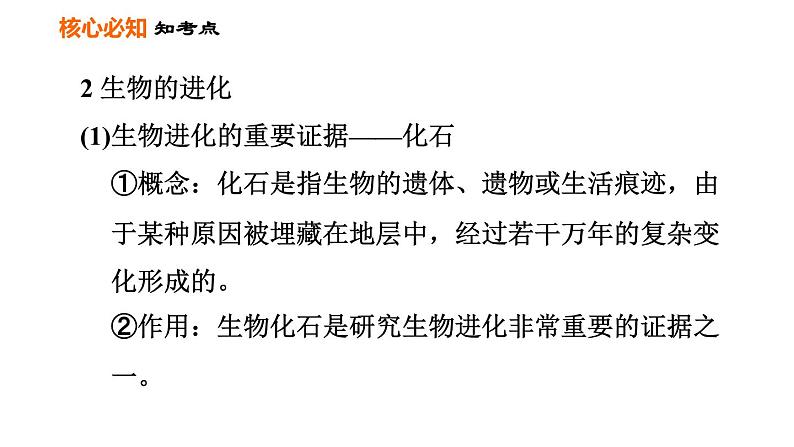 人教版八年级下册生物习题课件 第7单元 第三章巩固强化复习08