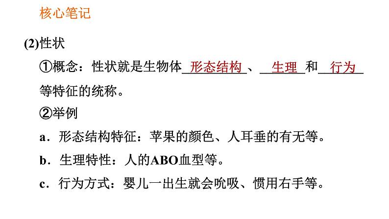 人教版八年级下册生物习题课件 第7单元 7.2.1 基因控制生物的性状第3页