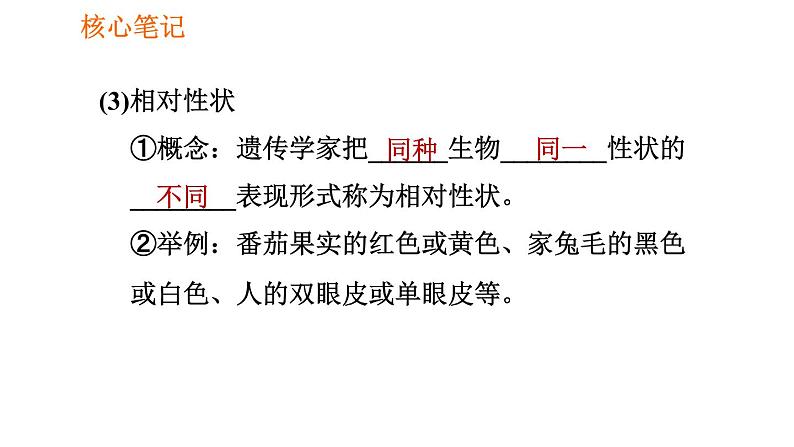 人教版八年级下册生物习题课件 第7单元 7.2.1 基因控制生物的性状第4页