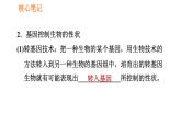 人教版八年级下册生物习题课件 第7单元 7.2.1 基因控制生物的性状