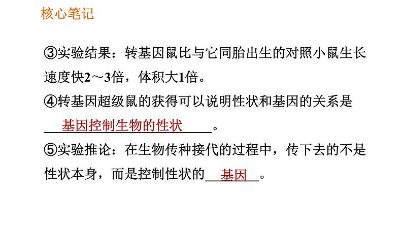 人教版八年级下册生物习题课件 第7单元 7.2.1 基因控制生物的性状第8页