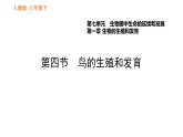 人教版八年级下册生物习题课件 第7单元 7.1.4 鸟的生殖和发育