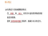 人教版八年级下册生物习题课件 第7单元 7.1.4 鸟的生殖和发育