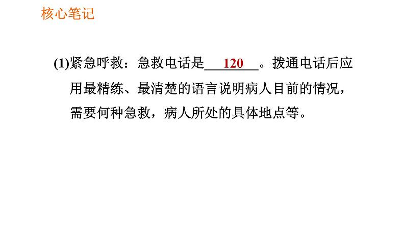 人教版八年级下册生物习题课件 第8单元 8.2.2 急救第2页