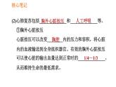 人教版八年级下册生物习题课件 第8单元 8.2.2 急救