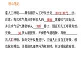 人教版八年级下册生物习题课件 第8单元 8.2.2 急救