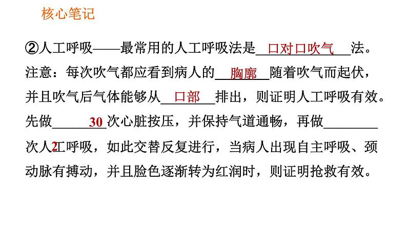 人教版八年级下册生物习题课件 第8单元 8.2.2 急救第4页