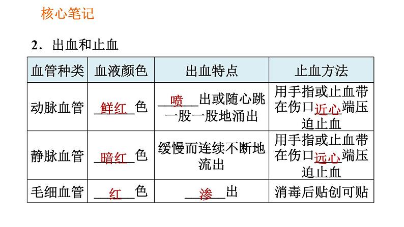 人教版八年级下册生物习题课件 第8单元 8.2.2 急救第5页