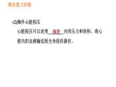 人教版八年级下册生物习题课件 期末复习冲刺 第八单元 第二章 用药与急救