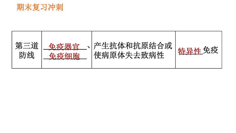 人教版八年级下册生物习题课件 期末复习冲刺 第八单元 第一章 传染病和免疫07