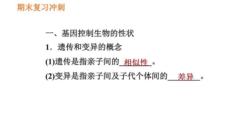 人教版八年级下册生物习题课件 期末复习冲刺 第七单元 第二章 生物的遗传与变异02