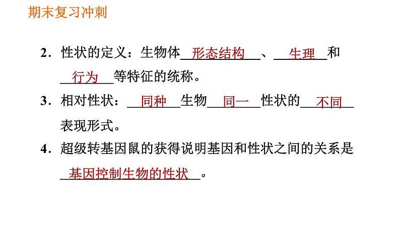 人教版八年级下册生物习题课件 期末复习冲刺 第七单元 第二章 生物的遗传与变异03