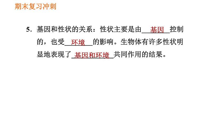 人教版八年级下册生物习题课件 期末复习冲刺 第七单元 第二章 生物的遗传与变异04