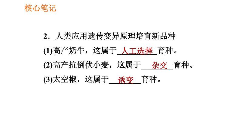人教版八年级下册生物习题课件 第7单元 7.2.5 生物的变异第4页
