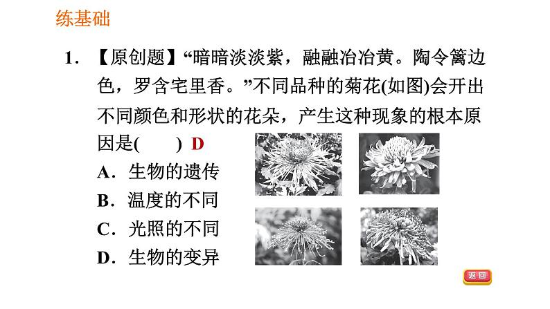 人教版八年级下册生物习题课件 第7单元 7.2.5 生物的变异第6页