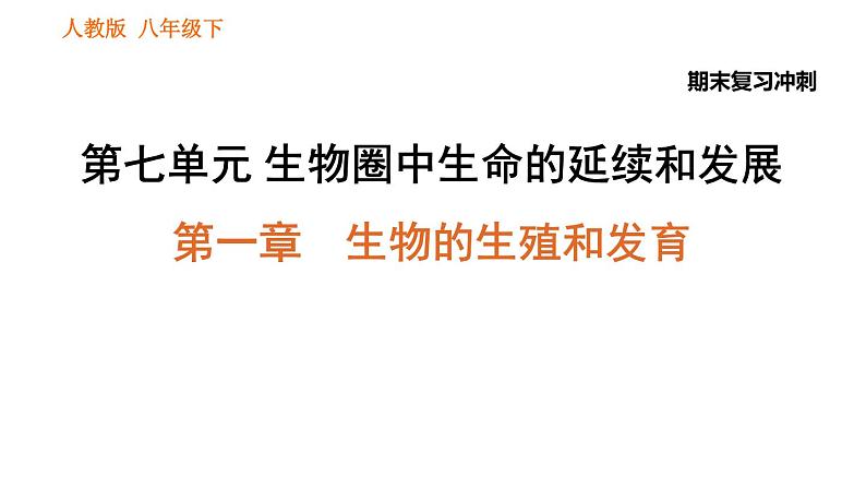 人教版八年级下册生物习题课件 期末复习冲刺 第七单元 第一章 生物的生殖和发育01