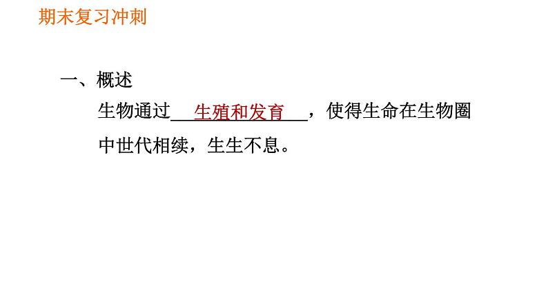 人教版八年级下册生物习题课件 期末复习冲刺 第七单元 第一章 生物的生殖和发育02