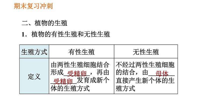 人教版八年级下册生物习题课件 期末复习冲刺 第七单元 第一章 生物的生殖和发育03