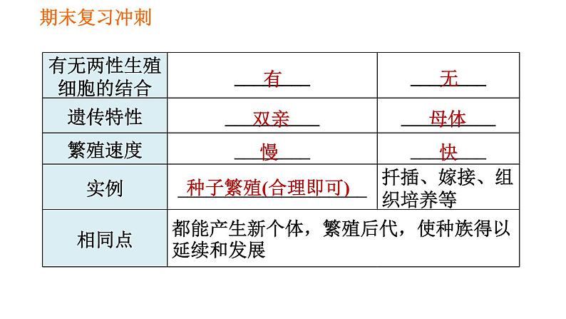 人教版八年级下册生物习题课件 期末复习冲刺 第七单元 第一章 生物的生殖和发育04