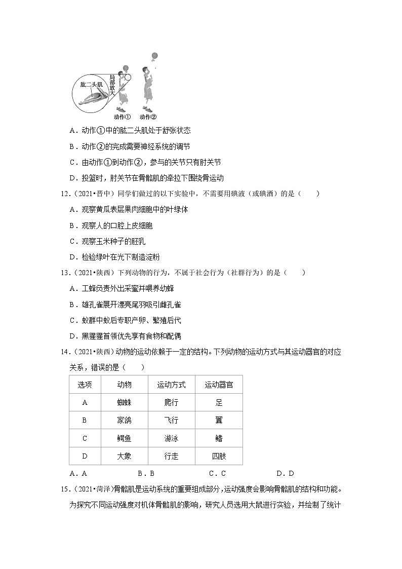 （word版附解析）动物的行为和运动——2021年全国中考生物试题分类汇编03