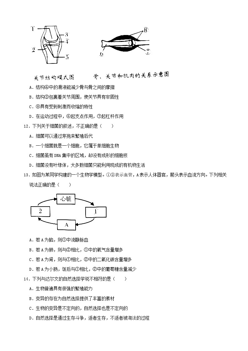 2021年辽宁省营口市中考生物真题（word版附解析）第3页