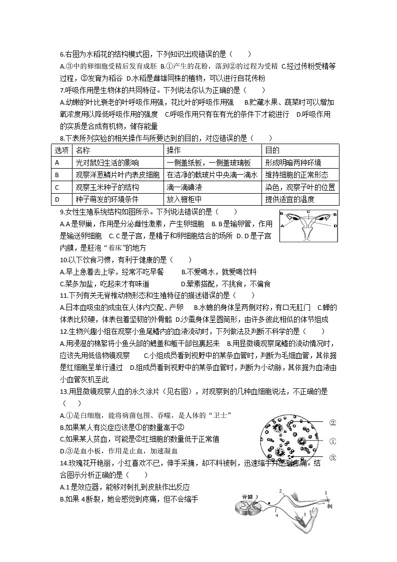 2021年湖南省娄底市中考生物真题（word版附解析）02