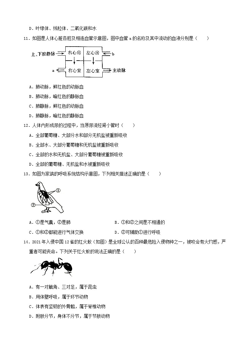 2021年山西省太原市中考生物真题（word版附解析）03