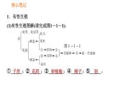 人教版八年级下册生物习题课件 第7单元 7.1.1 植物的生殖