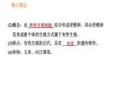 人教版八年级下册生物习题课件 第7单元 7.1.1 植物的生殖