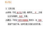 人教版八年级下册生物习题课件 第7单元 7.1.1 植物的生殖