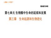 人教版八年級下冊生物習(xí)題課件 期末復(fù)習(xí)沖刺 第七單元 第三章 生命起源和生物進(jìn)化