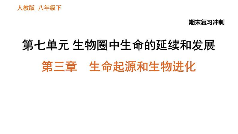 人教版八年级下册生物习题课件 期末复习冲刺 第七单元 第三章 生命起源和生物进化第1页