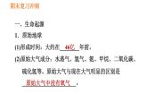 人教版八年级下册生物习题课件 期末复习冲刺 第七单元 第三章 生命起源和生物进化