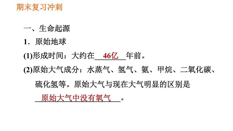 人教版八年级下册生物习题课件 期末复习冲刺 第七单元 第三章 生命起源和生物进化第2页