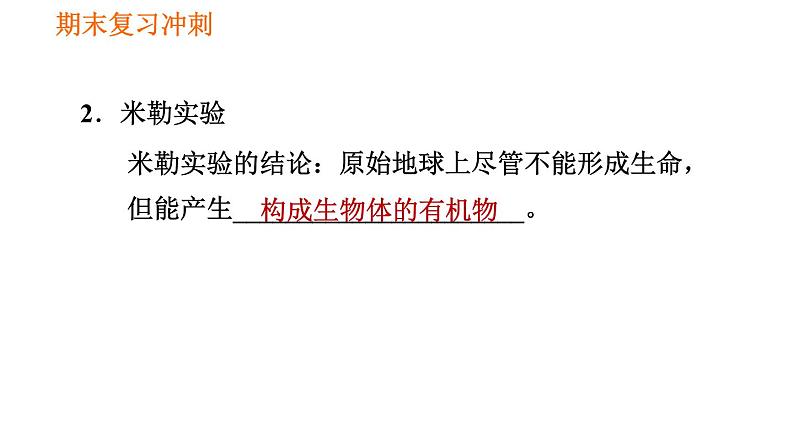 人教版八年级下册生物习题课件 期末复习冲刺 第七单元 第三章 生命起源和生物进化第3页