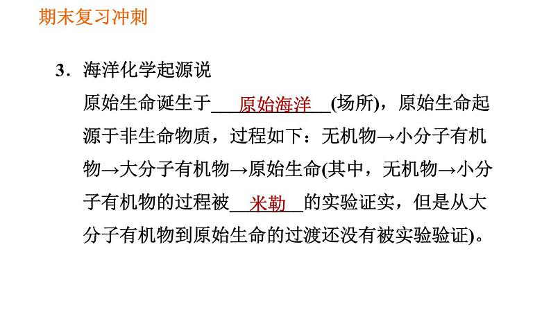 人教版八年级下册生物习题课件 期末复习冲刺 第七单元 第三章 生命起源和生物进化04