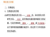 人教版八年级下册生物习题课件 期末复习冲刺 第七单元 第三章 生命起源和生物进化