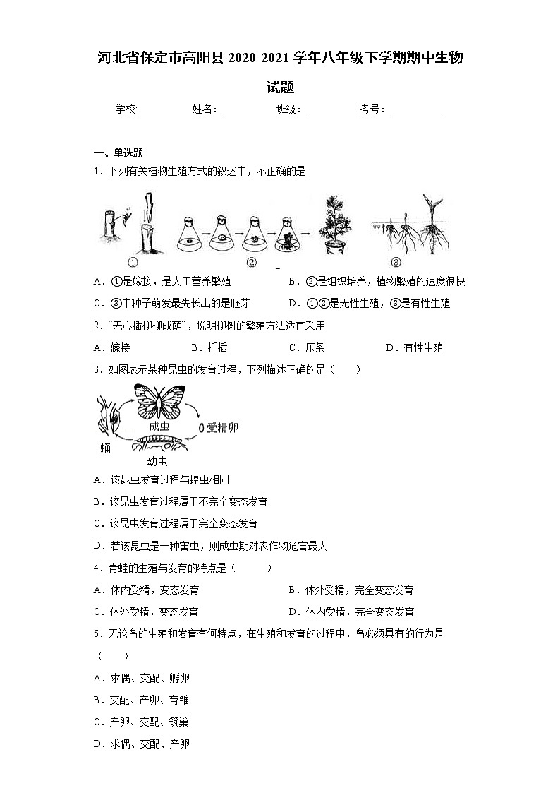 河北省保定市高阳县2020-2021学年八年级下学期期中生物试题（word版 含答案）01